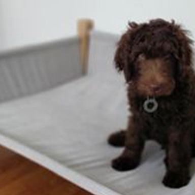 Duxenall Dog Bedz